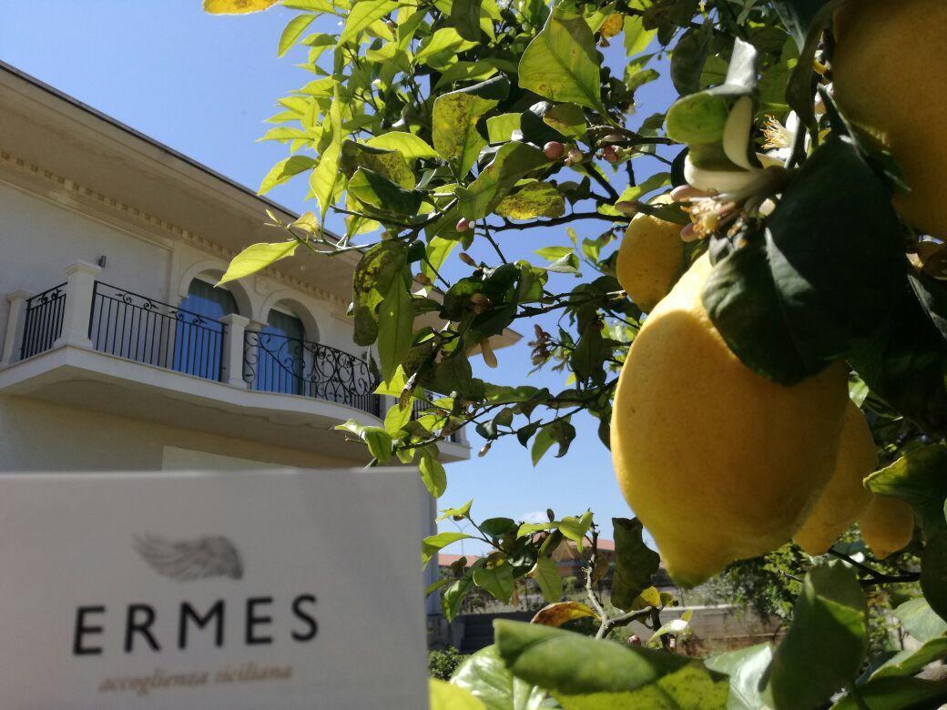 Ermes *