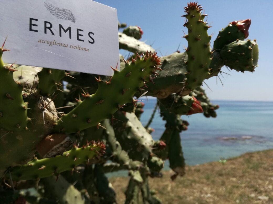 Ermes Alojamento de Acomodação e Pequeno-almoço